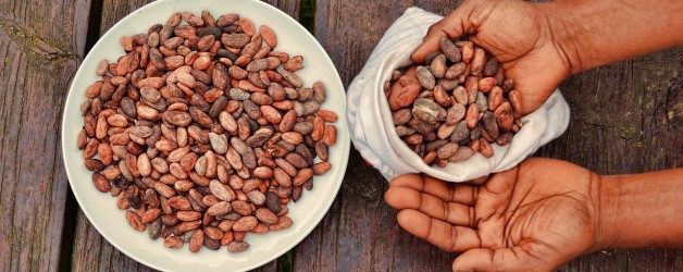 Alzheimer, nuove speranze dai polifenoli del cacao
